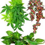 reptile plants artificial