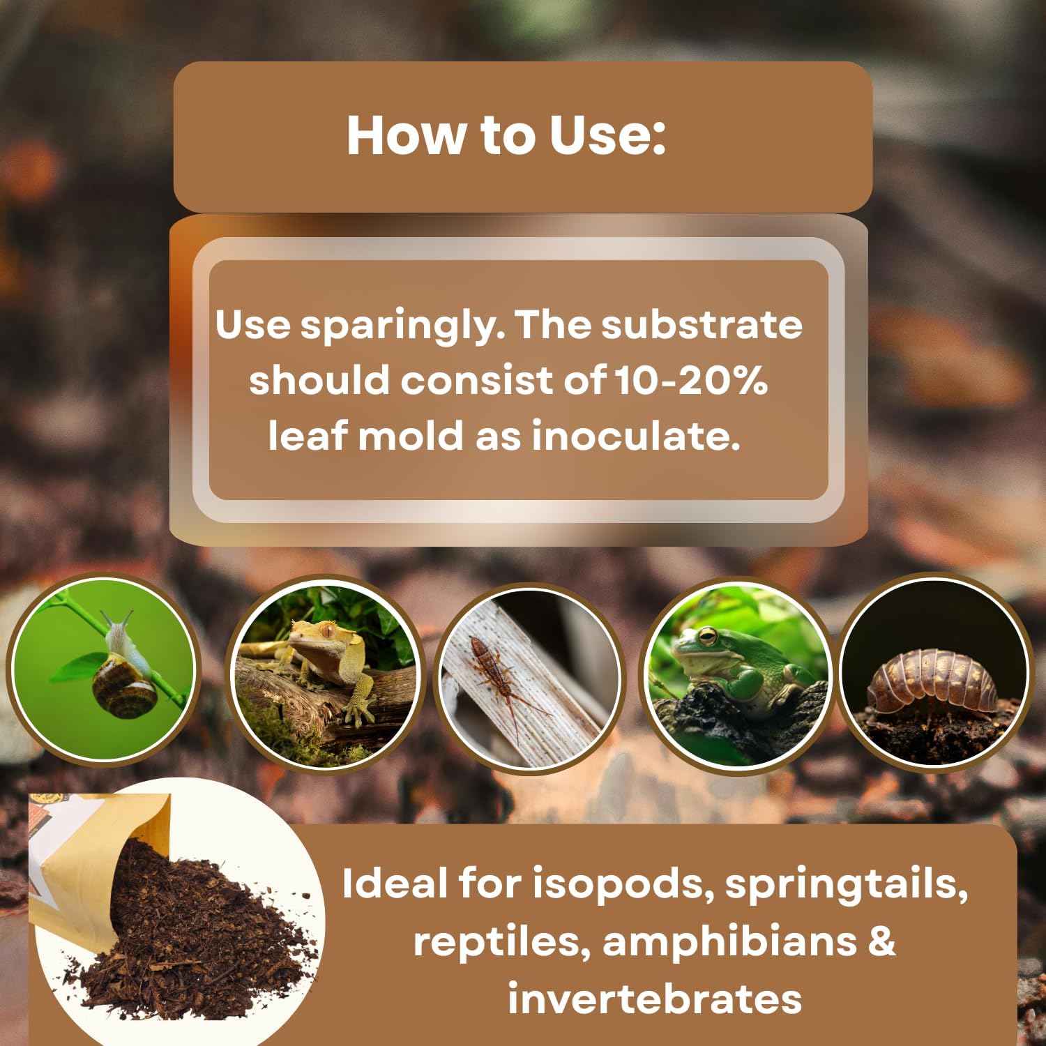 SCOTTY'S BUGS All Natural Leaf Mold for Bioactive Terrariums & Vivariums – Perfect for Isopods, Springtails, Amphibians & Reptiles – 12oz. Pack - Happypetzone.online - Image 7