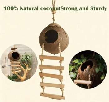 reptile accessories amazon best