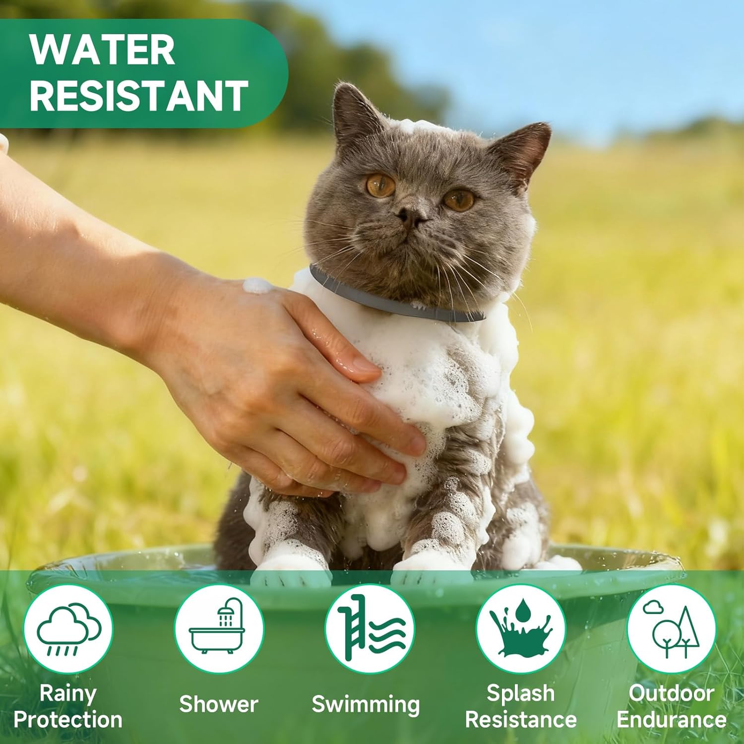 4 Pack Cat Flea Collars, Cat Flea and Tick Treatment, 32 Months Protection Flea and Tick Prevention for Cats, Waterproof Flea Collar for Cats, One Size Fits All for All Breeds, Grey - Happypetzone.online - Image 6