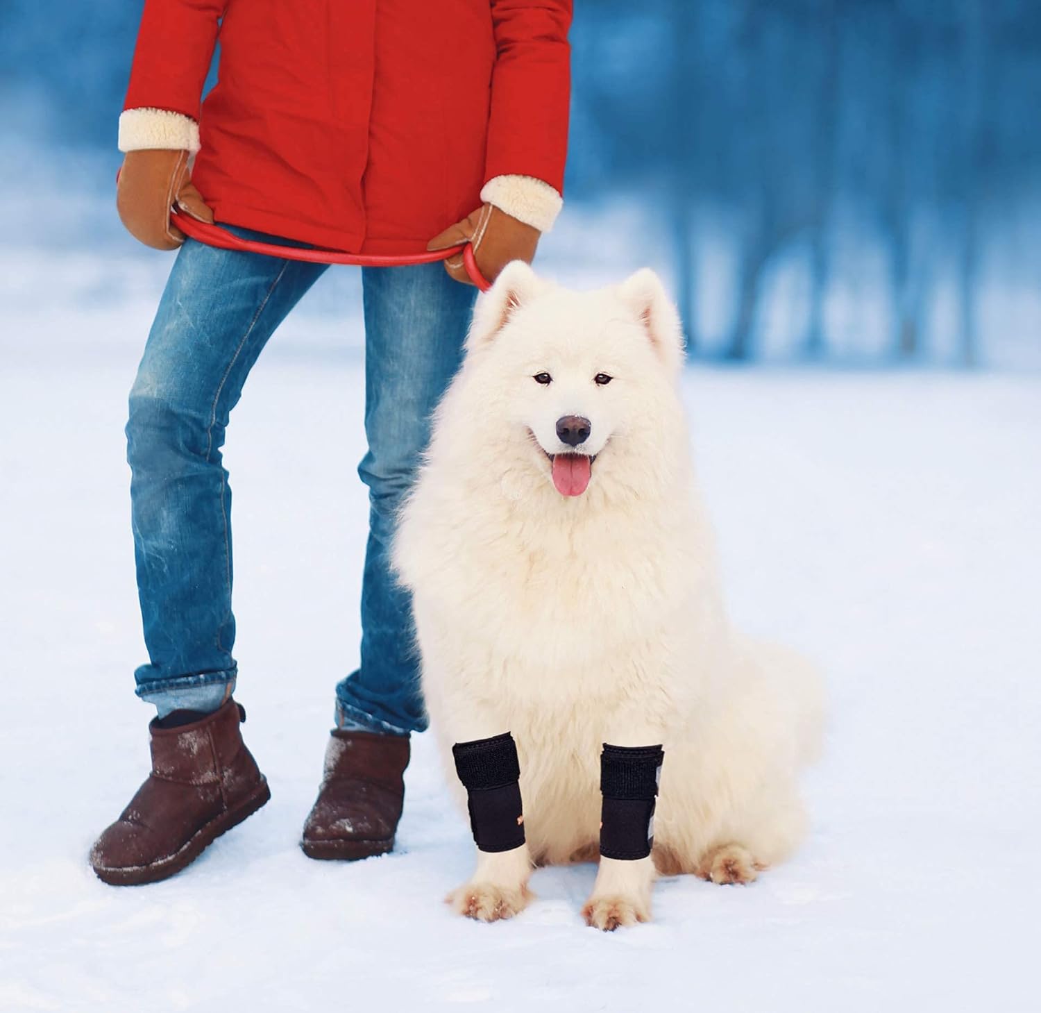 NeoAlly Dog Braces Front Leg Carpal Support Canine Wrist Braces with Safety Reflective Straps for Limping, Joint Pain, Lameness, and Loss of Stability from Arthritis (S/M Pair) - Happypetzone.online - Image 7