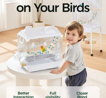 bird cage easy clean