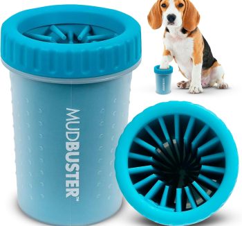 dog walking accessories