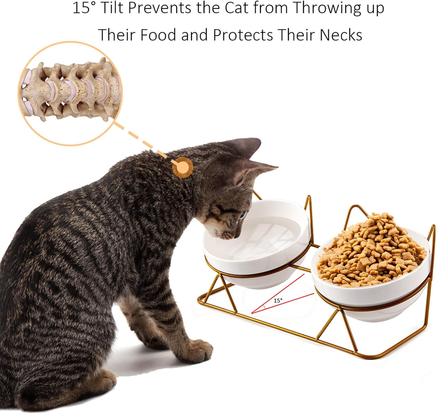 Trosetry Cat Bowls, Double Ceramic Pet Bowls with 15°Tilted Raised Stand for Food and Water, Anti Vomiting Cat Dish Feeder, Perfect for Puppy Cats and Small Dogs(Double Bowls1) - Happypetzone.online - Image 2