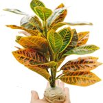 reptile tank decorations