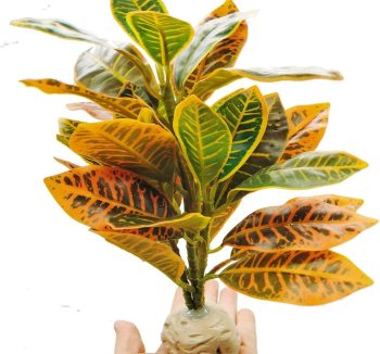 reptile tank decorations