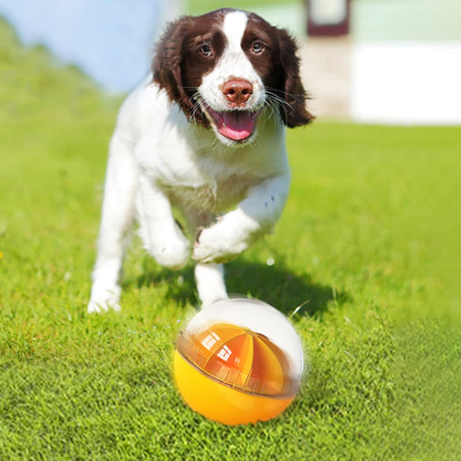 Dog Treat Ball, Interactive Squeaky Mental Stimulation Toys, Slow Feeder Puzzle Toys for Medium/Large Dog Breeds - Happypetzone.online - Image 8