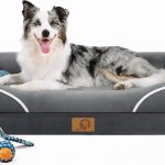 cheap dog beds large