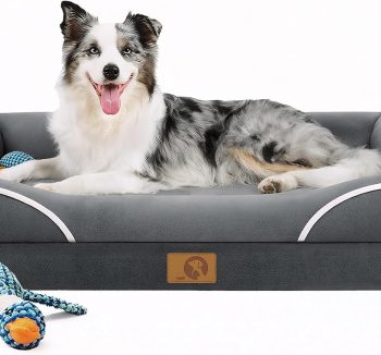 cheap dog beds large