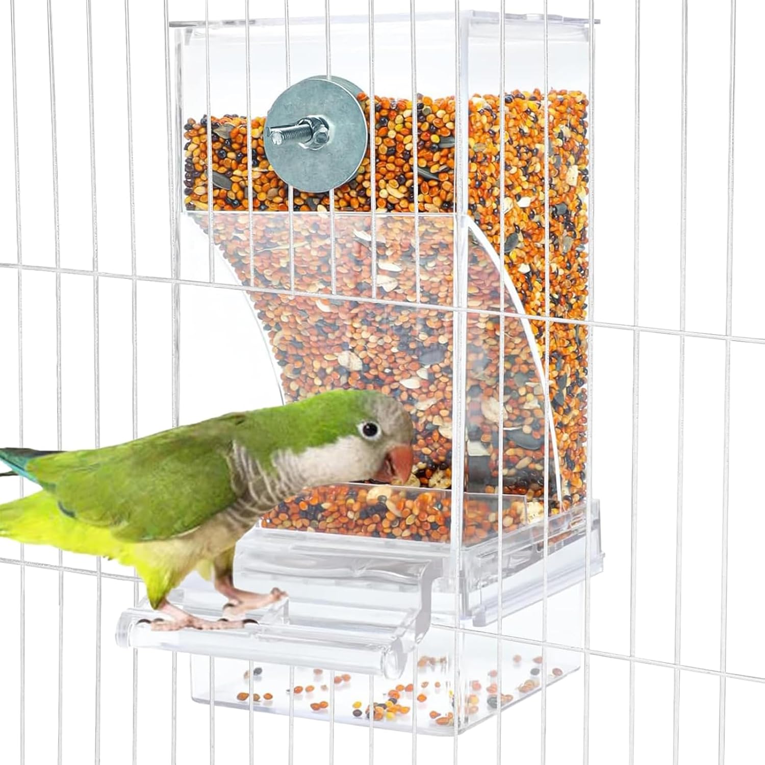 canary bird food