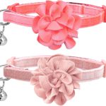 cat collar with bell