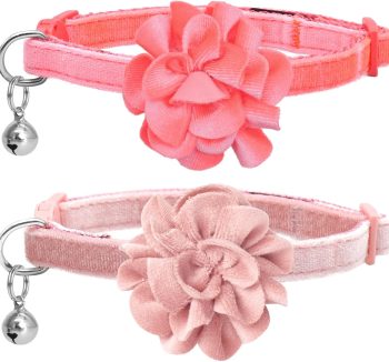 cat collar with bell