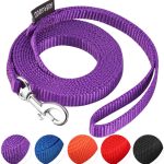 cat leash for walking