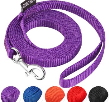 cat leash for walking