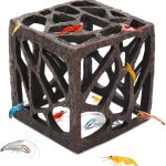 fish tank modern design