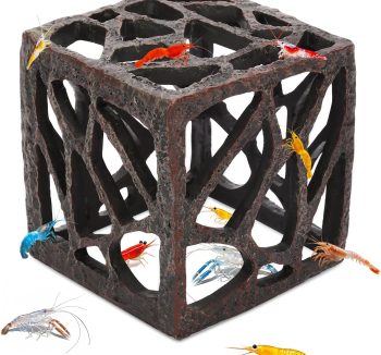 fish tank modern design