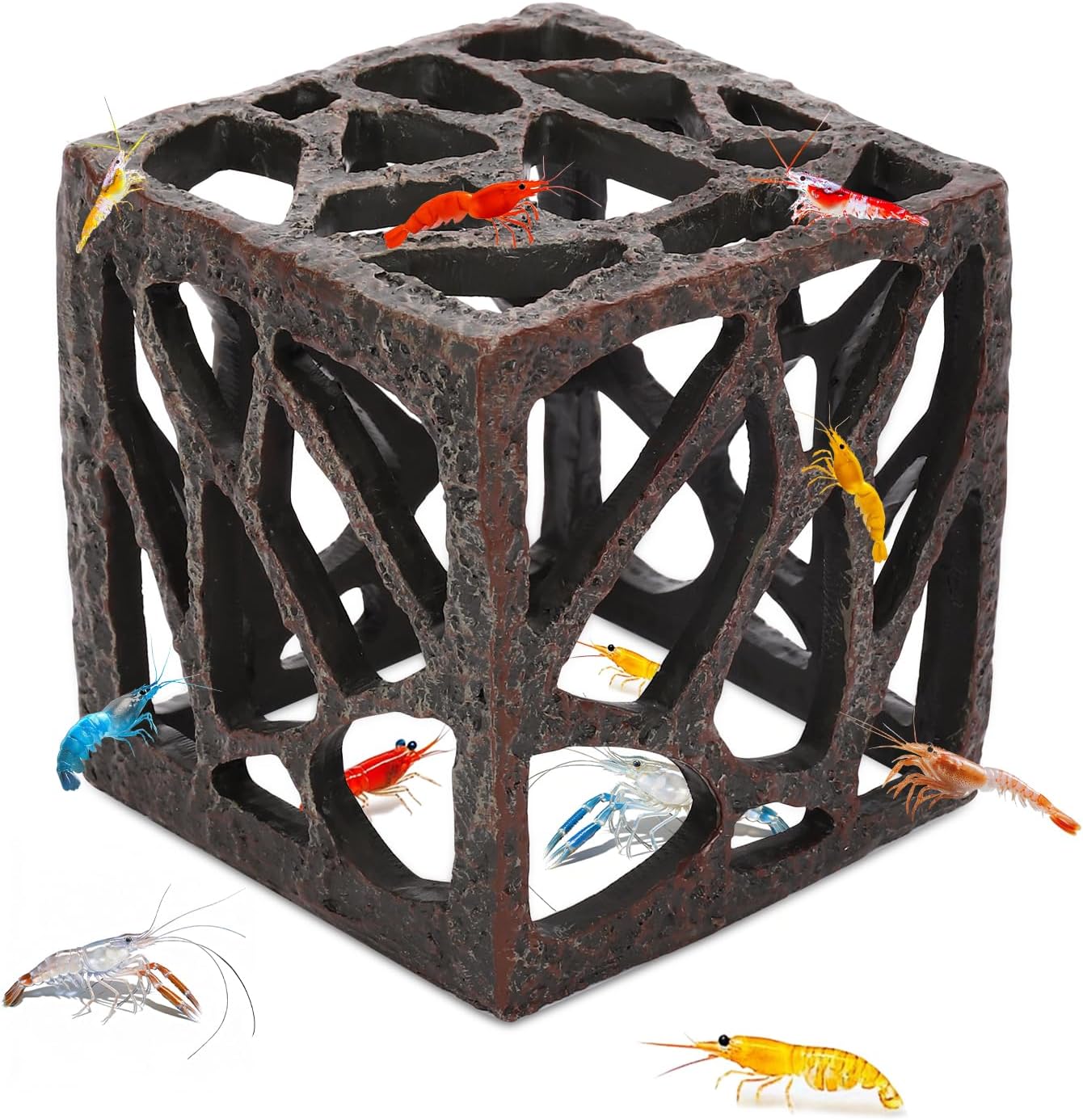 fish tank modern design