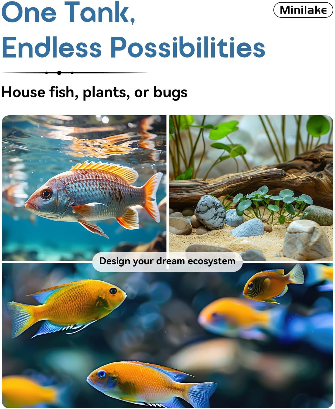 Glass Fish Tank Kit, 5 Gallon Betta Fish Tank Aquarium Starter Kit with Filter, Lights, Lid, for Betta, Goldfish, Small Fish or shrimg - Happypetzone.online - Image 8
