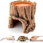 reptile hide cave