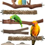 bird perch wood natural