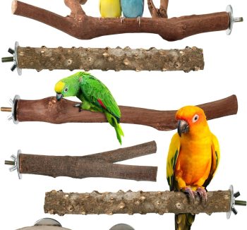 bird perch wood natural