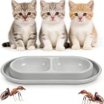 cat food for outdoor cats