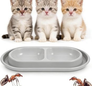 cat food for outdoor cats