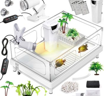 reptile tank for beginners