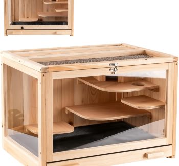 hamster tank habitat