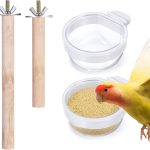 natural bird food