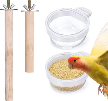 natural bird food