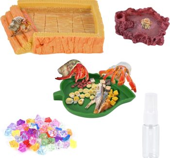 reptile food starter kit