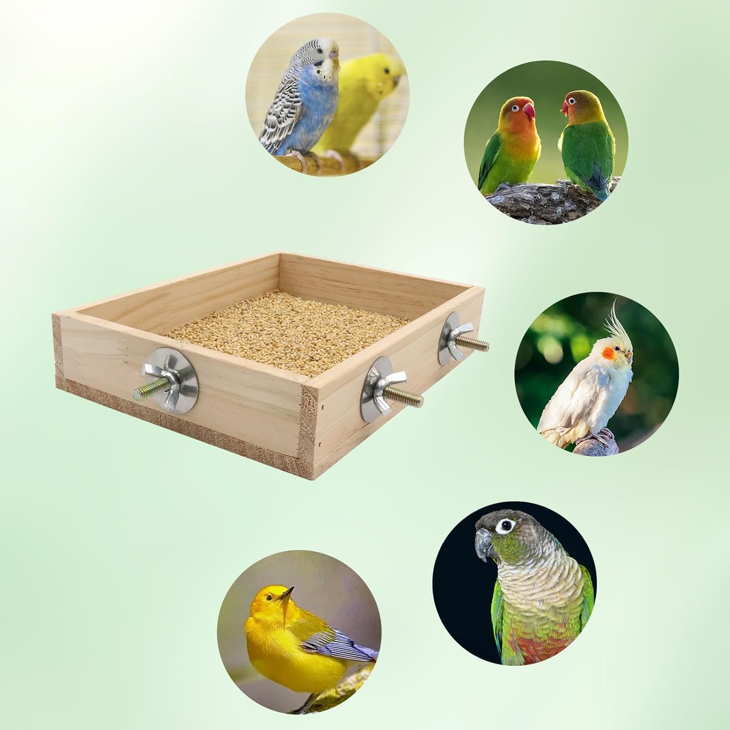Bird Cage Accessories, Wooden Food Dish for Small to Medium Birds, Bird Feeder for Cage, Food Bowl for Budgie, Cockatiel, Lovebird, Conure, Parakeet, Canary, Kakariki - Happypetzone.online - Image 4