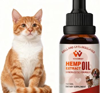 cat joint supplement
