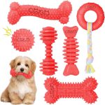 dog dental chews