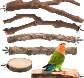 cheap bird perch set