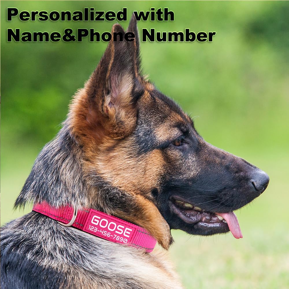 Personalized Dog Collars Custom with Pet Name and Phone Number, Soft Neoprene Padded Reflective Nylon Collar, 4 Adjustable Sizes - for Boy, Girl Dogs - Happypetzone.online - Image 2