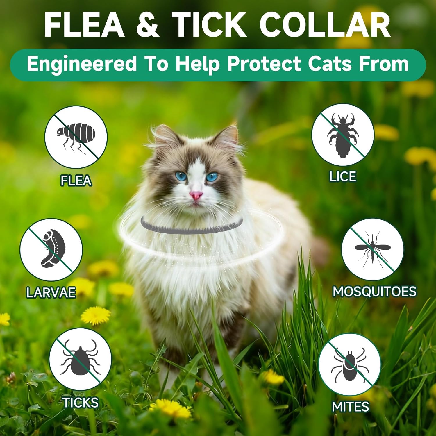 4 Pack Cat Flea Collars, Cat Flea and Tick Treatment, 32 Months Protection Flea and Tick Prevention for Cats, Waterproof Flea Collar for Cats, One Size Fits All for All Breeds, Grey - Happypetzone.online - Image 2