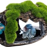 fish tank design accessories