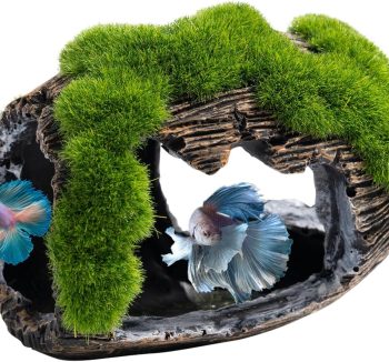 fish tank design accessories