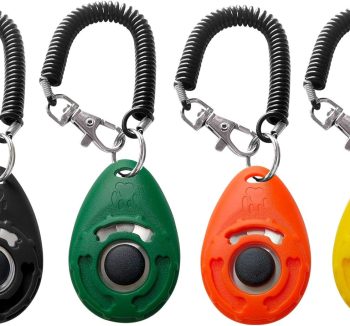 dog training clicker