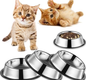 best wet cat food