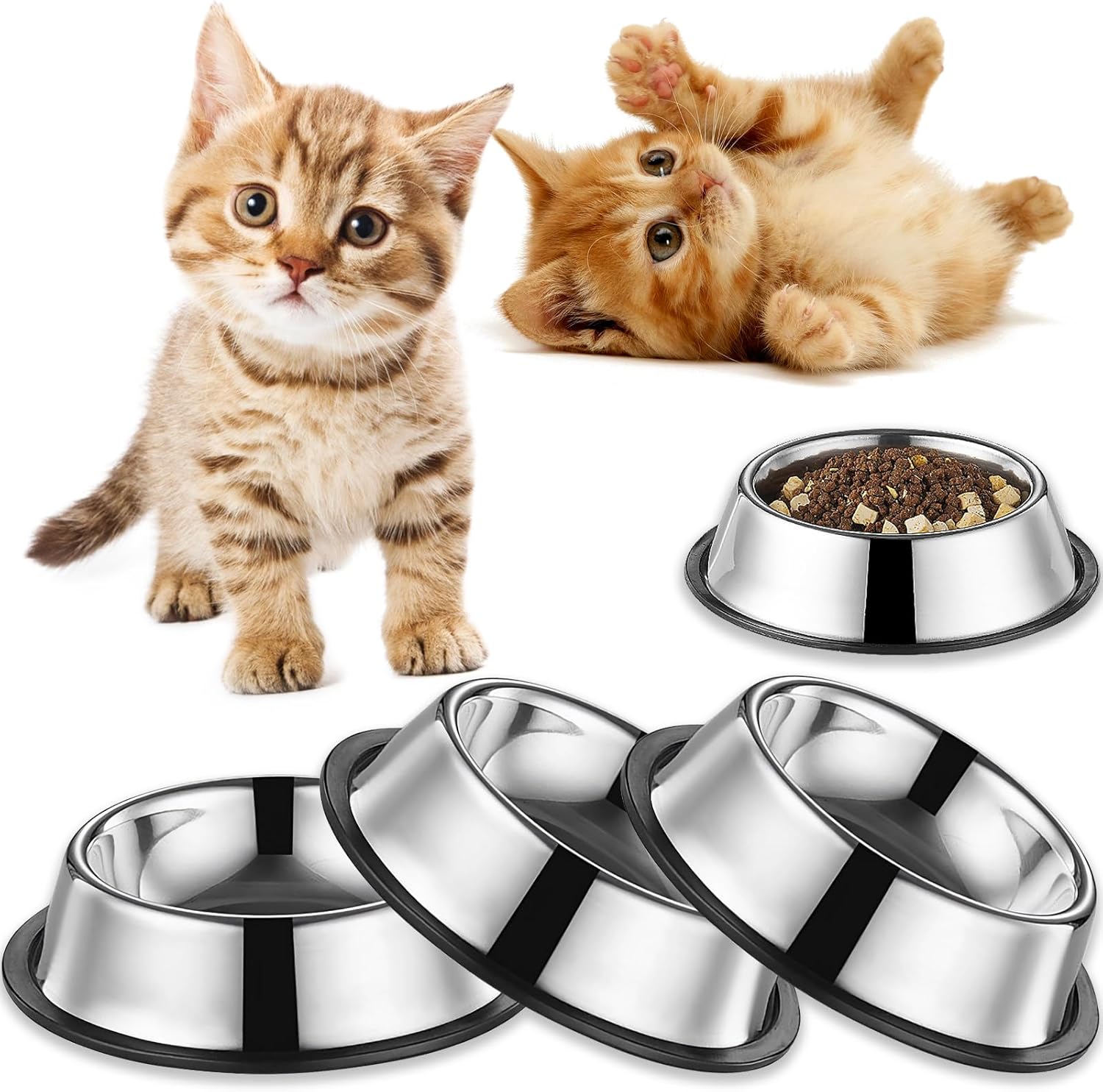 best wet cat food
