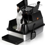 cat litter box anti smell