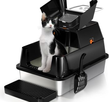cat litter box anti smell
