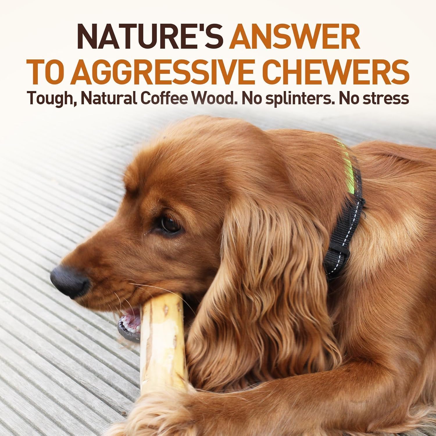 Wildfang® Coffee Wood Dog Chew, Medium - Tough Chew Toys for Aggressive Chewers, Dog Teething Toys for Puppies, Training for Chewing Muscles, Coffee Tree Sticks for Medium Dogs (33-55 lbs) - Happypetzone.online - Image 4