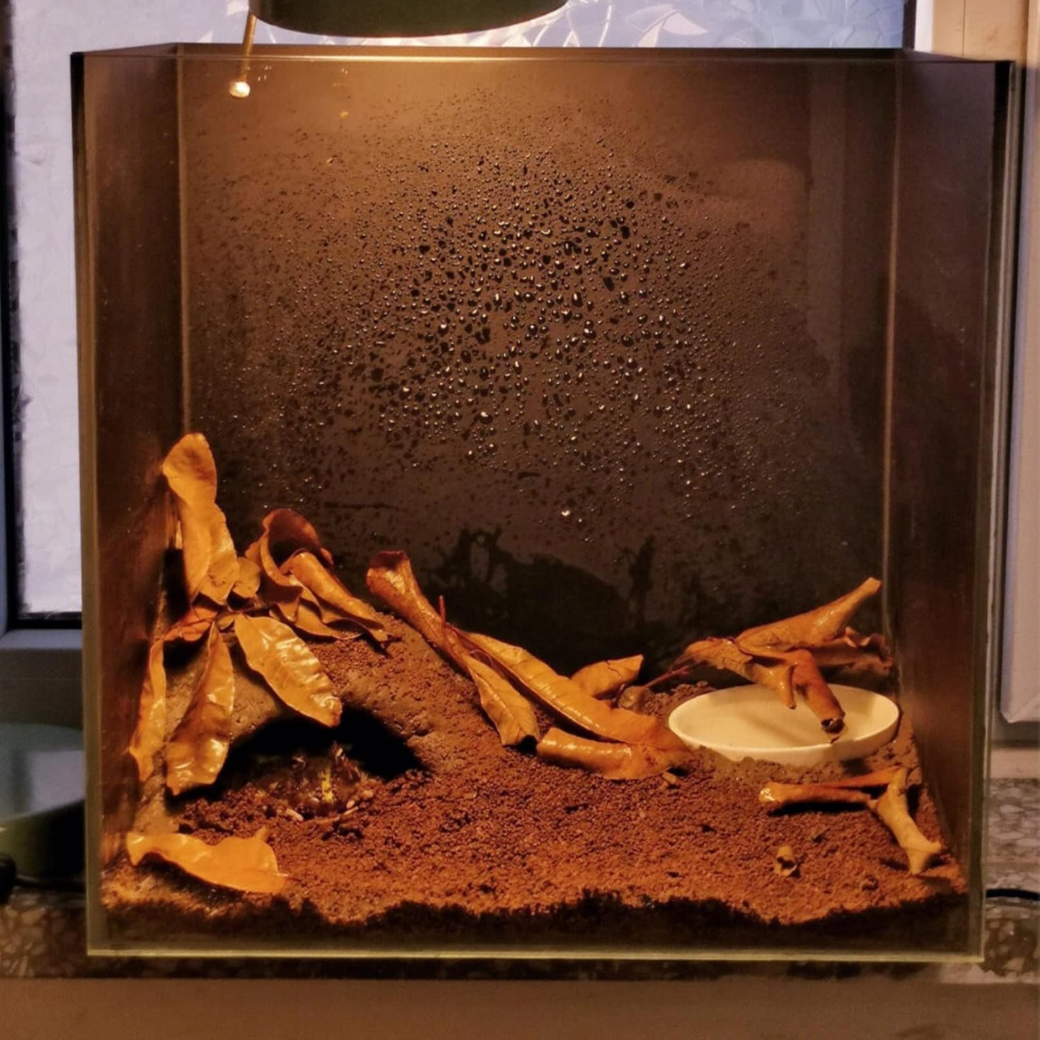 BNOSDM Reptile Soil Substrate Fluffy Small-Strand Reptile Substrate and Snake Bedding Clean Natural Terrarium Bedding for Lizards Snakes Tortoises Tarantulas - Happypetzone.online - Image 6