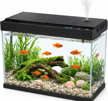 fish tank starter kit