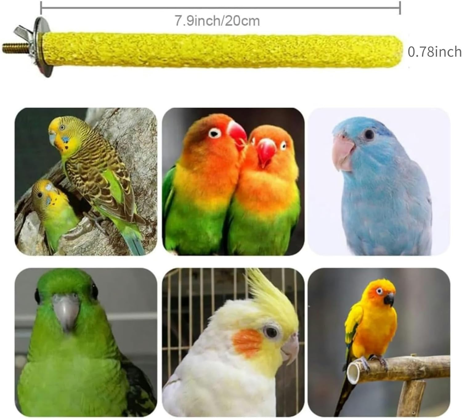 Hamiledyi 4 PCS Parrot Perch Stand Toy 7.9x0.8inch Bird Cage Perch Natural Paw Grinding Stick for Medium Parrots Parakeets Cockatiels Lovebirds Chewing Stick (M) - Happypetzone.online - Image 2