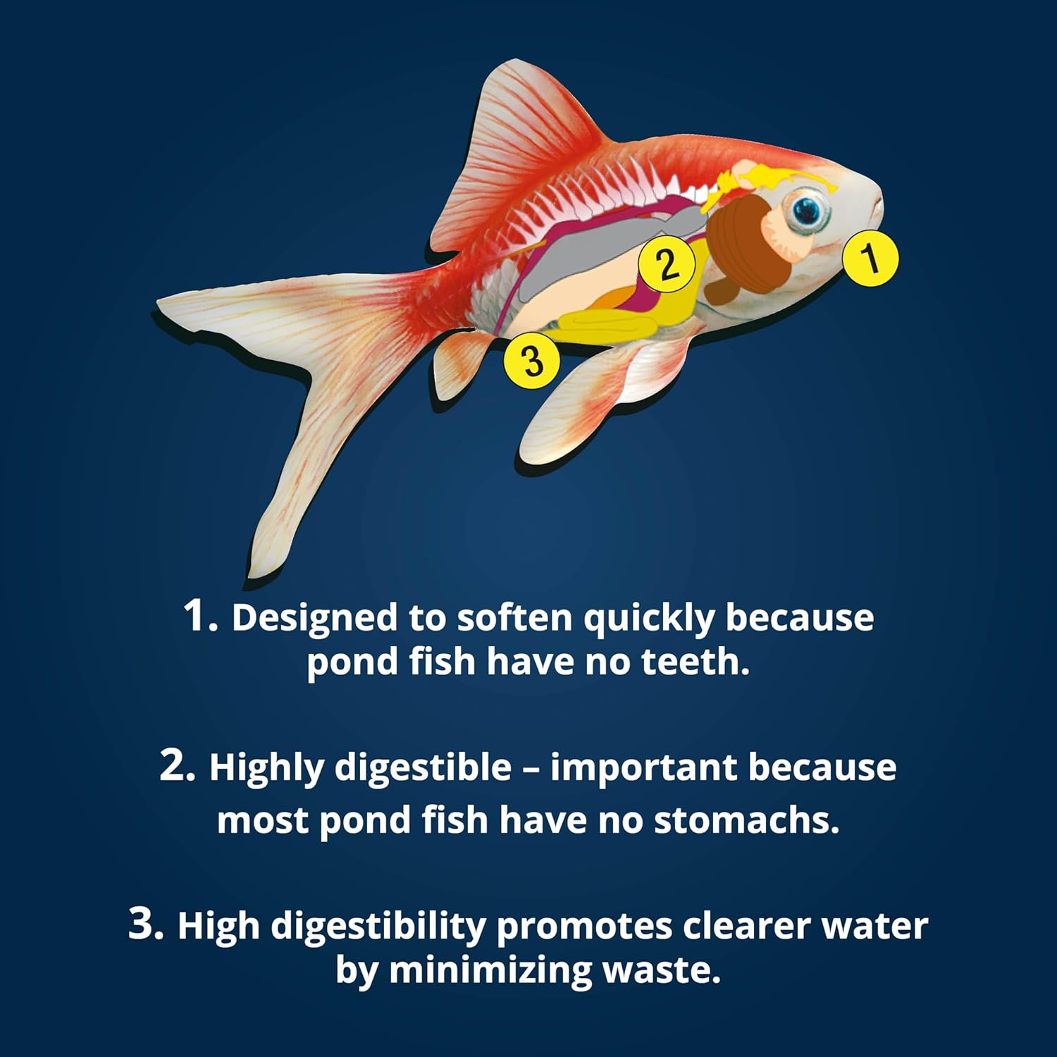 TetraPond Pond Sticks, Pond Fish Food, for Goldfish and Koi, 1.72 Pounds - Happypetzone.online - Image 8